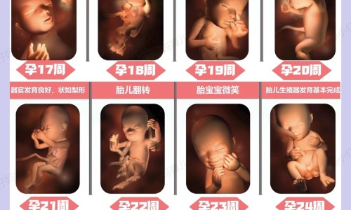 高血压患者可以生孩子吗-高血压病人可以生二胎吗网高血压能要二胎吗知识网站,分享高血压可以怀孕生小孩吗大全